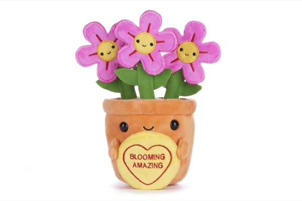LOVE HEARTS 18CM (7") BLOOMING AMAZING FLOWERS