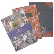 3 Pk A5 Elysium Notebooks