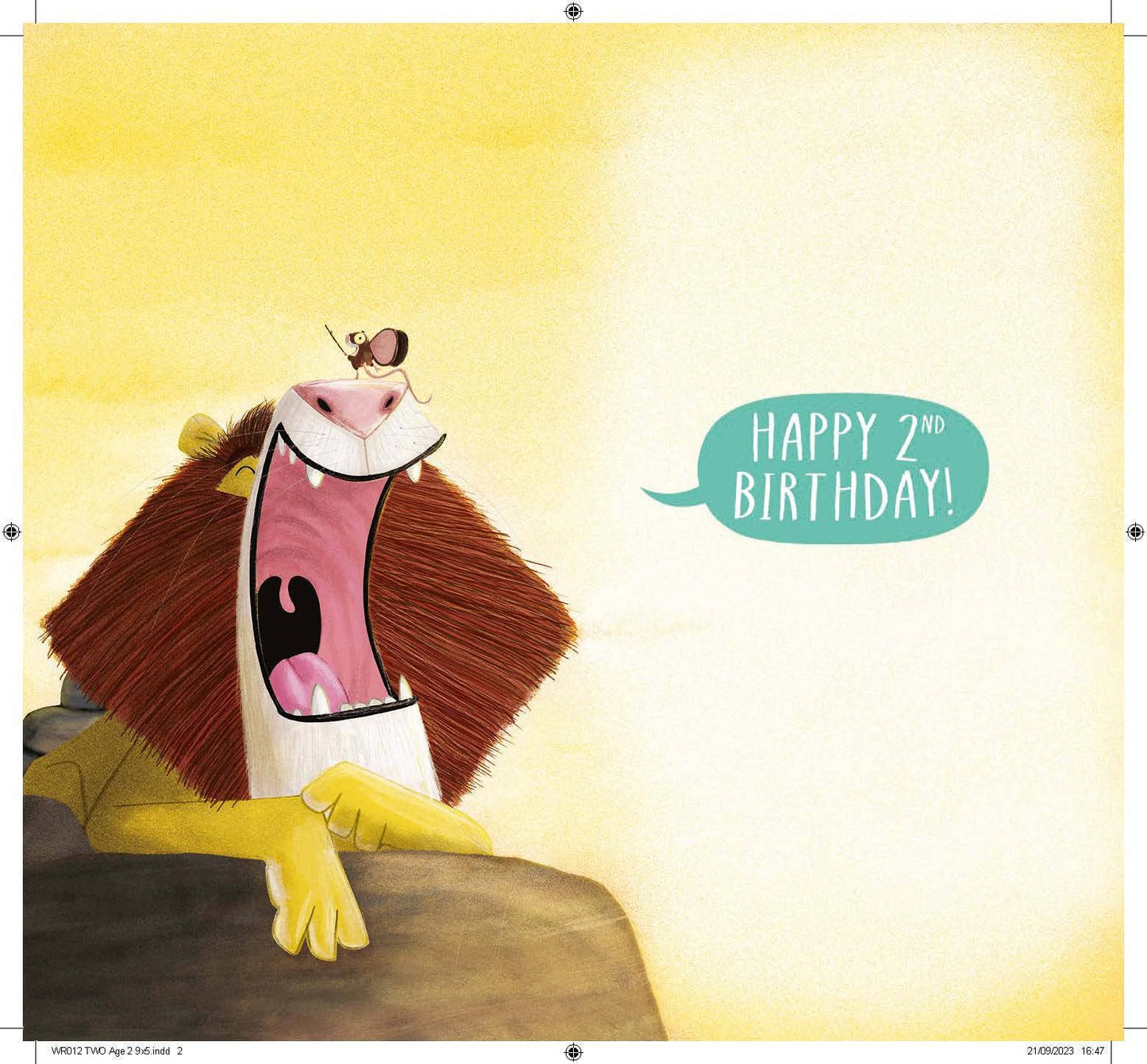 The World Of Rachel Bright and Jim Field Age 2 Birthday Card