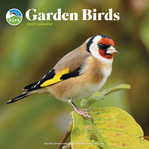 Garden Birds RSPB Wall Calendar 2027