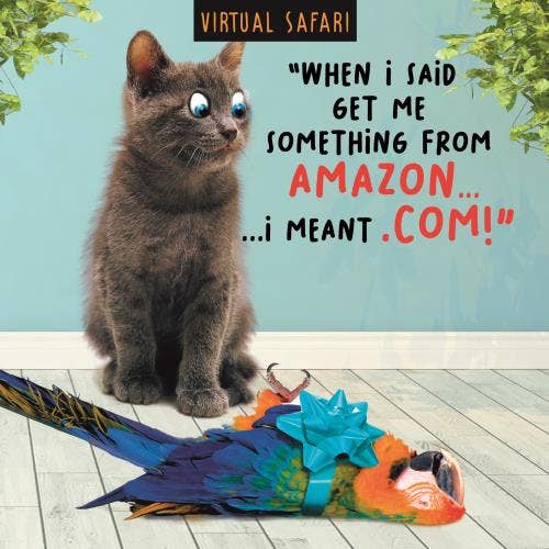 Virtual Safari Birthday Cat and a Parrot Tied Up With a Bow