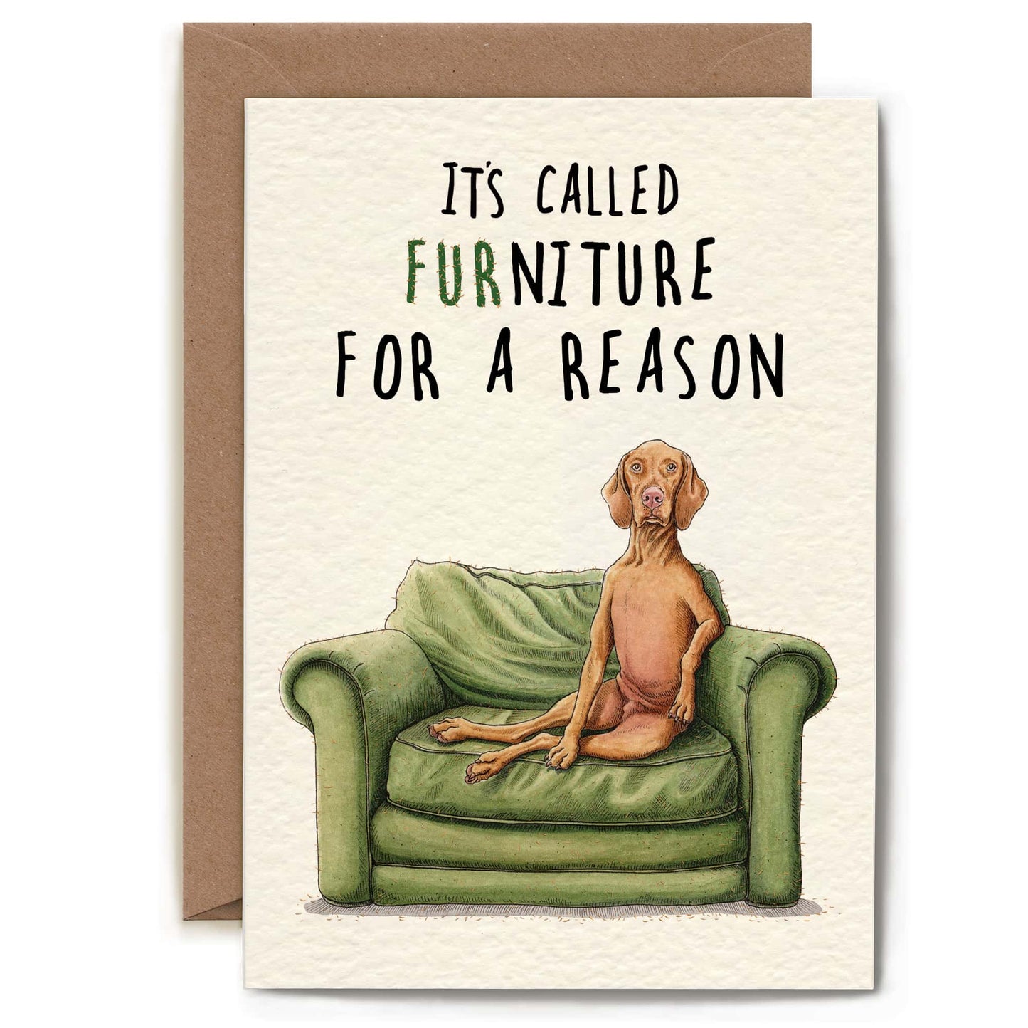 Furniture Dog Card - Everyday Card - Funny