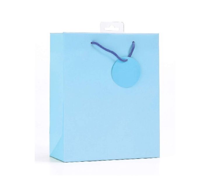 PLAIN TURQUOISE LARGE G/BAG