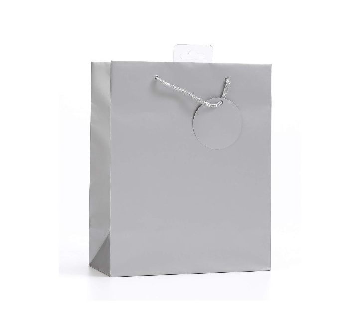 PLAIN SILVER LARGE G/BAG