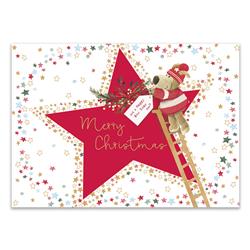 Boofle Extra Large Bag-Xmas General (619)