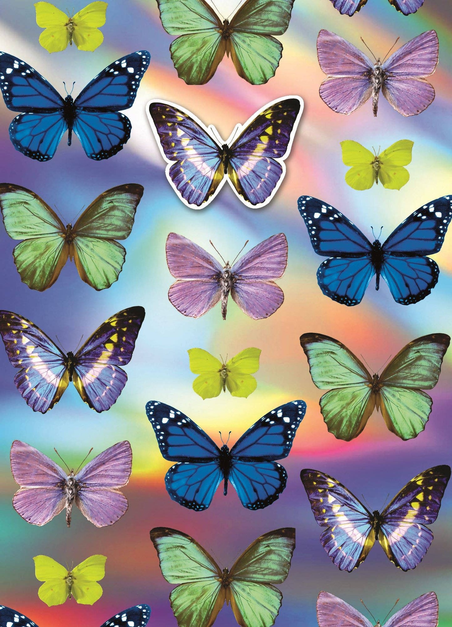 Blank Butterflies - Yours Truly - Second Nature