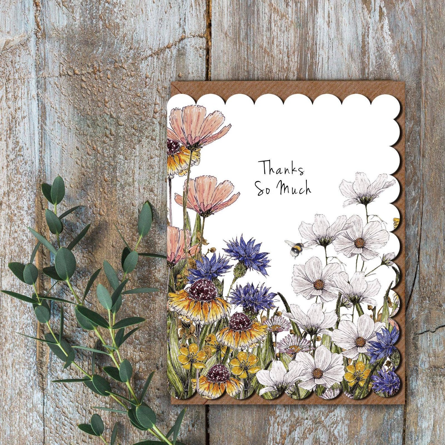 Thanks So Much Card (Cello-Free)