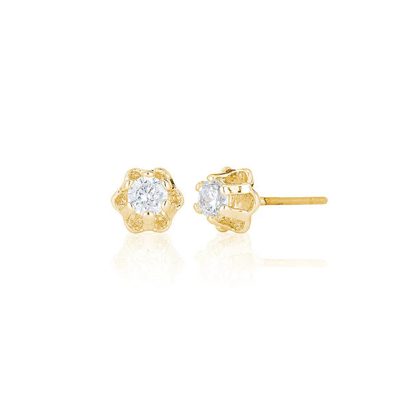 Six Claw Single Stone Stud Earrings In Yellow Gold