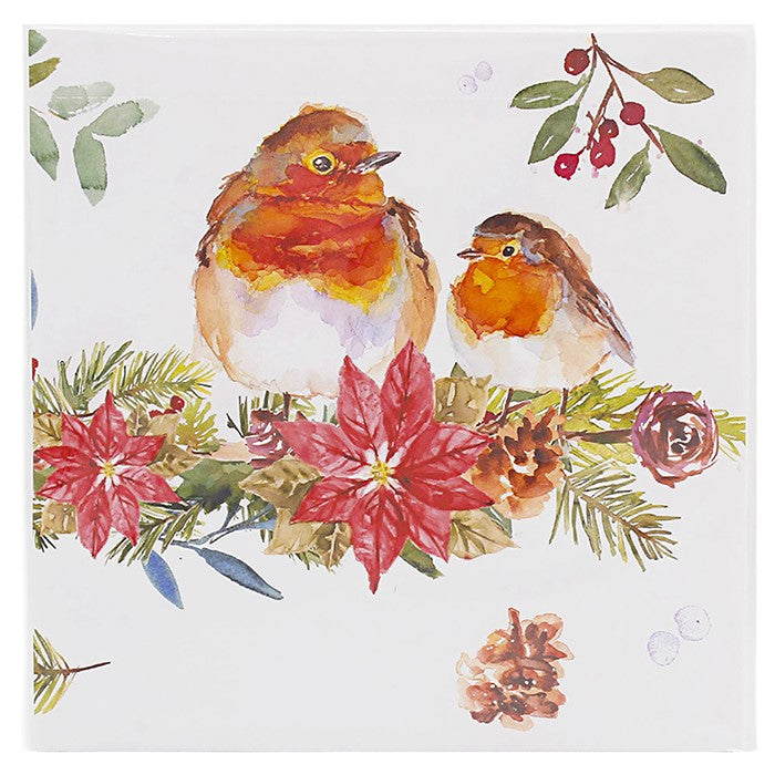 Jennifer Rose Winter Robin Napkins Pack of 20