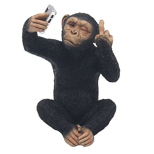 Cheeky Monkey Chimp Selfie