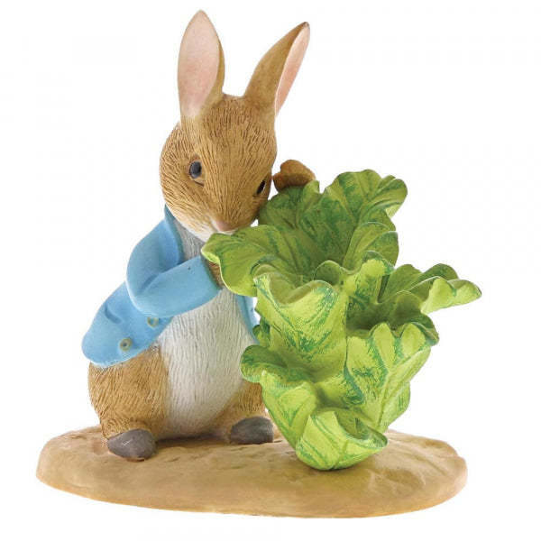 PETER RABBIT BRINGS LETTUCE | Presentimes