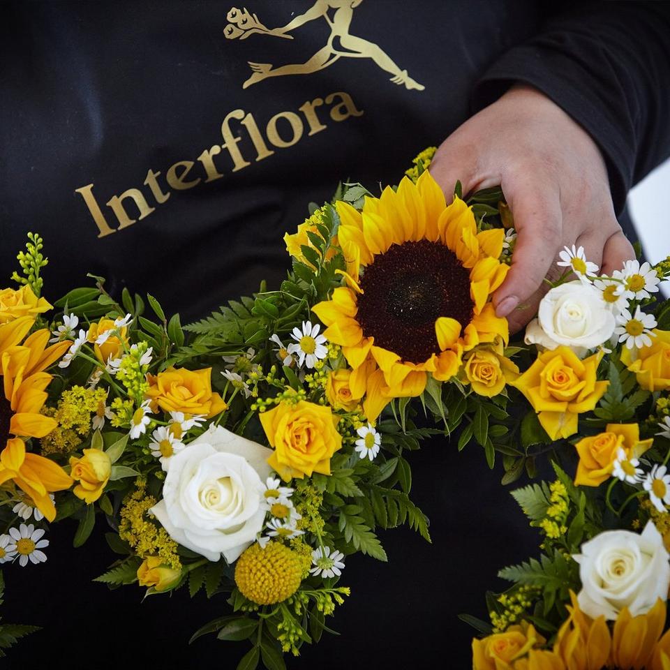 Striking Sunflower Heart