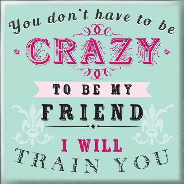 You Don't Have To Be Crazy To Be My Friend Magnet