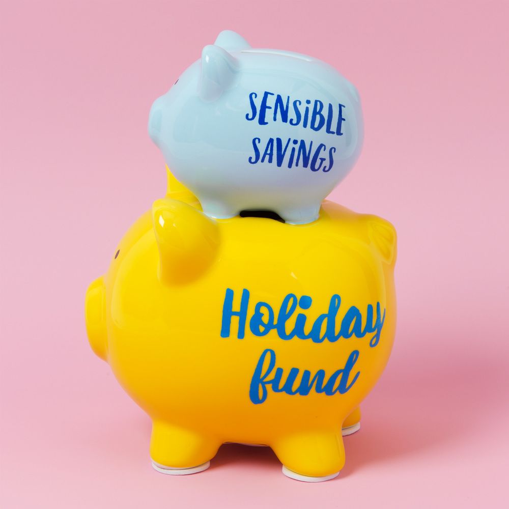 'PENNIES & DREAMS' DOUBLE PIGGY BANK - SENSIBLE SAVINGS