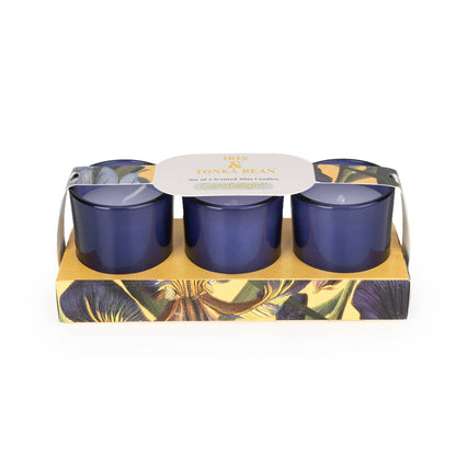Set of 3 Votive Candles - Iris & Tonka Bean