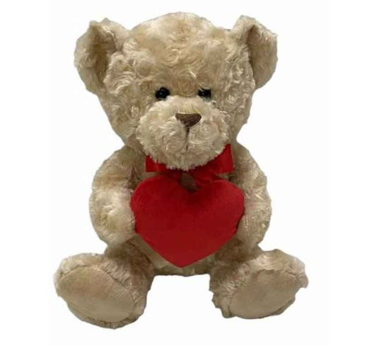 25cm VALENTINES BEAR WITH HEART