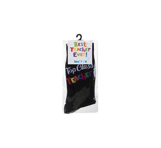 2ASST PAIR TEACHER SOCKS ON HANGER