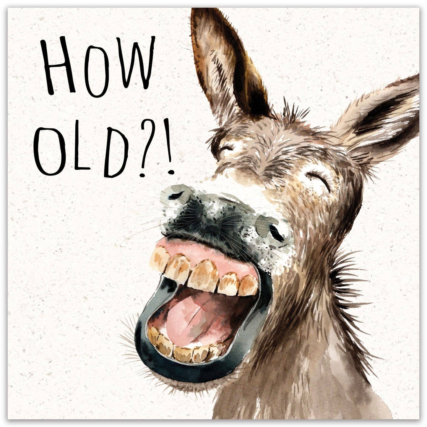 How Old Donkey - Funny Birthday Card