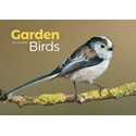 Garden Birds A4