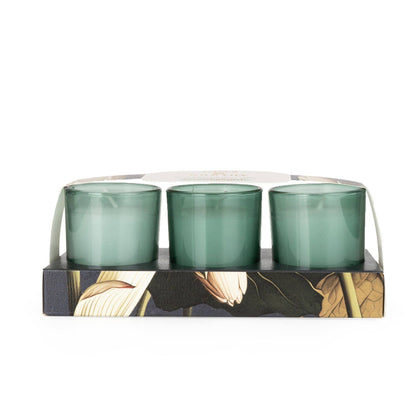 Set of 3 Votives - Lotus & Wild Lily