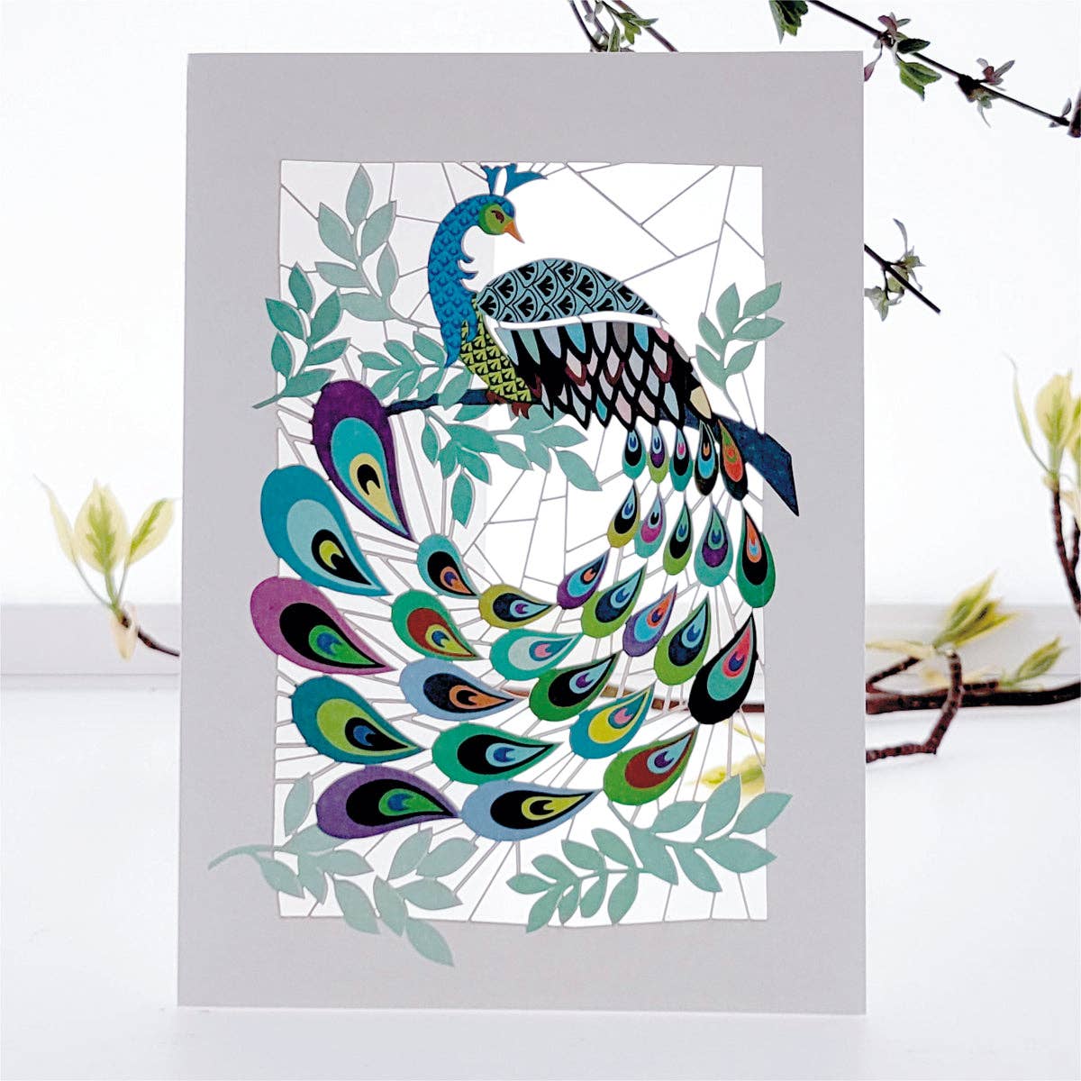 Peacock Everyday Greeting Card - Blank Inside
