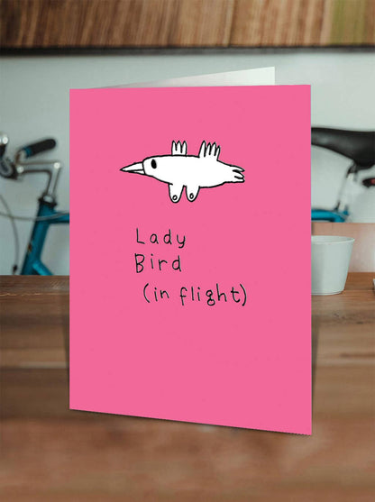 Funny Birthday Card - Embossed Ladybird Greetings Card