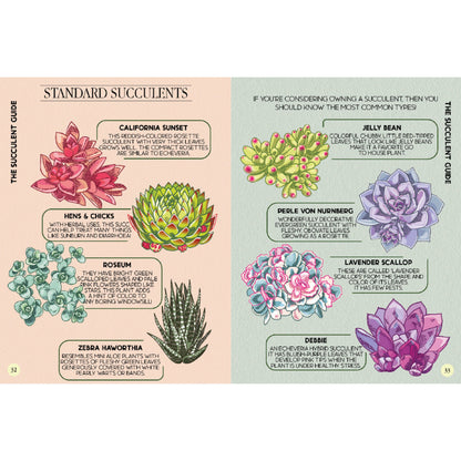 Houseplant Survival Guide - Indoor Plant Tips and Tricks