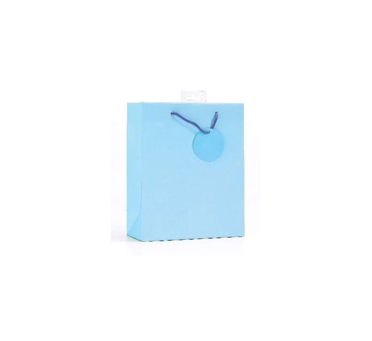 PLAIN TURQUOISE SMALL G/BAG