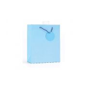 Plain Light Blue Small G/Bag