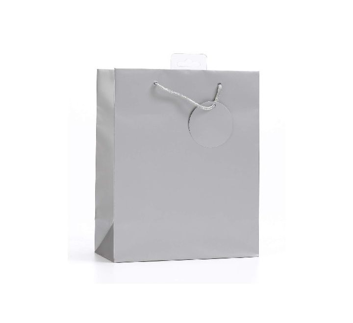 PLAIN SILVER MEDIUM G/BAG
