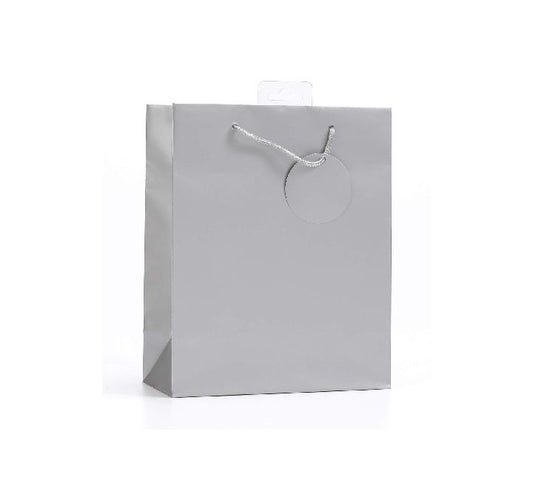 PLAIN SILVER MEDIUM G/BAG