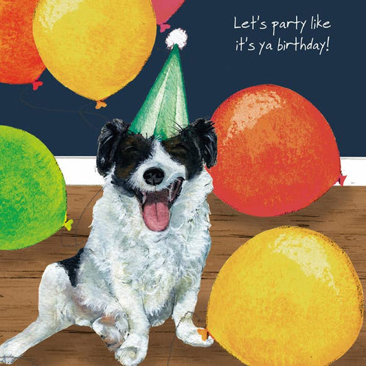 Jack Russell Terrier Birthday Card