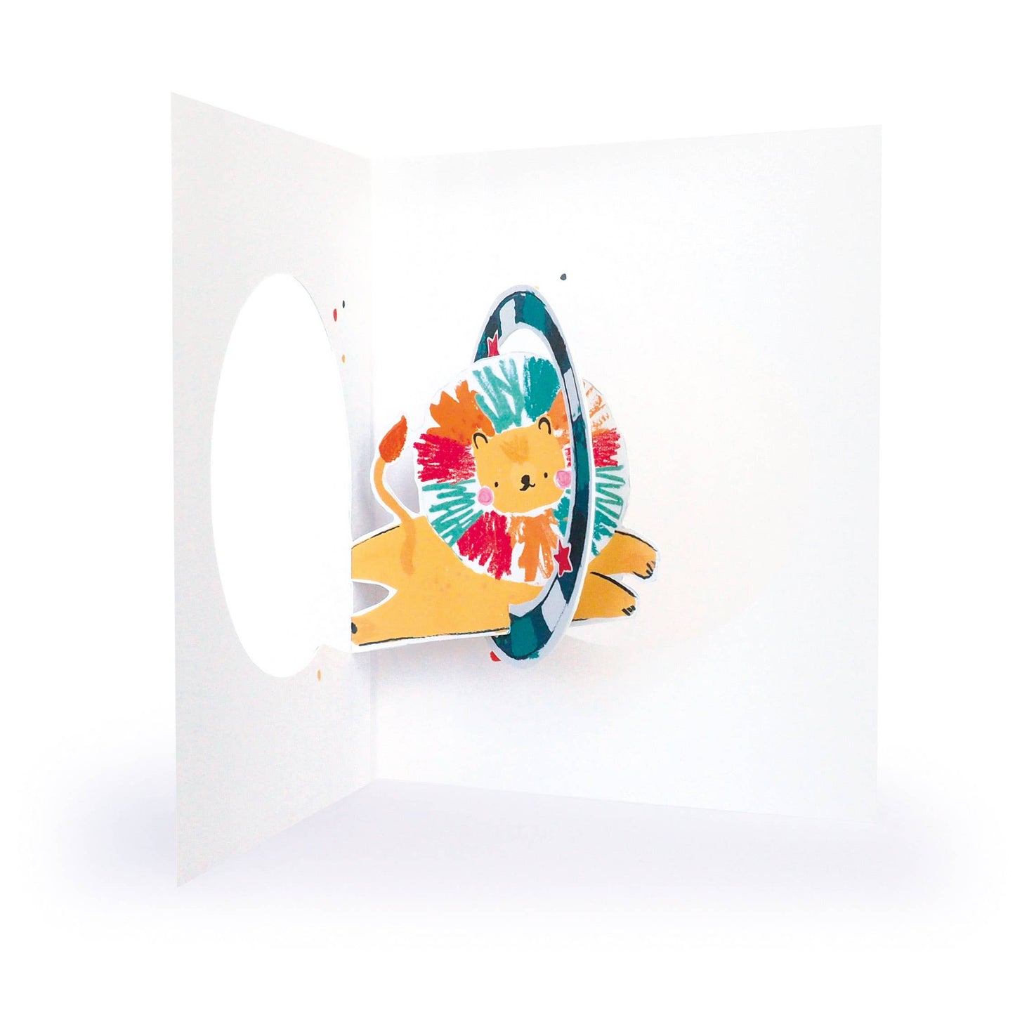 Playground Grandson Birthday