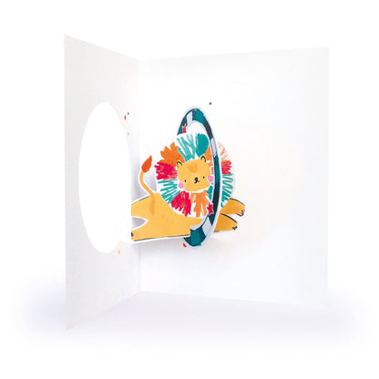 Playground Grandson Birthday