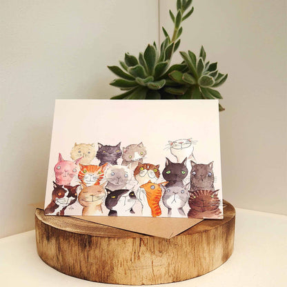 Cute Cat card, Funny Cat Birthday card, Crazy cat card