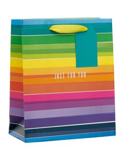 Gift Bag Medium-Rainbow Stripe