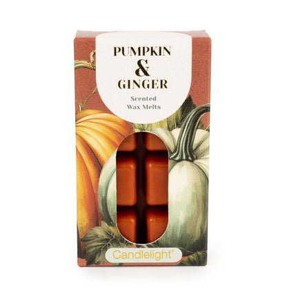 8 Pack Wax Melts - Pumpkin & Ginger