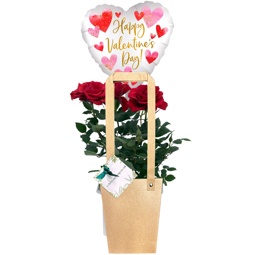 A Sweet Gesture Valentines Day Giftset