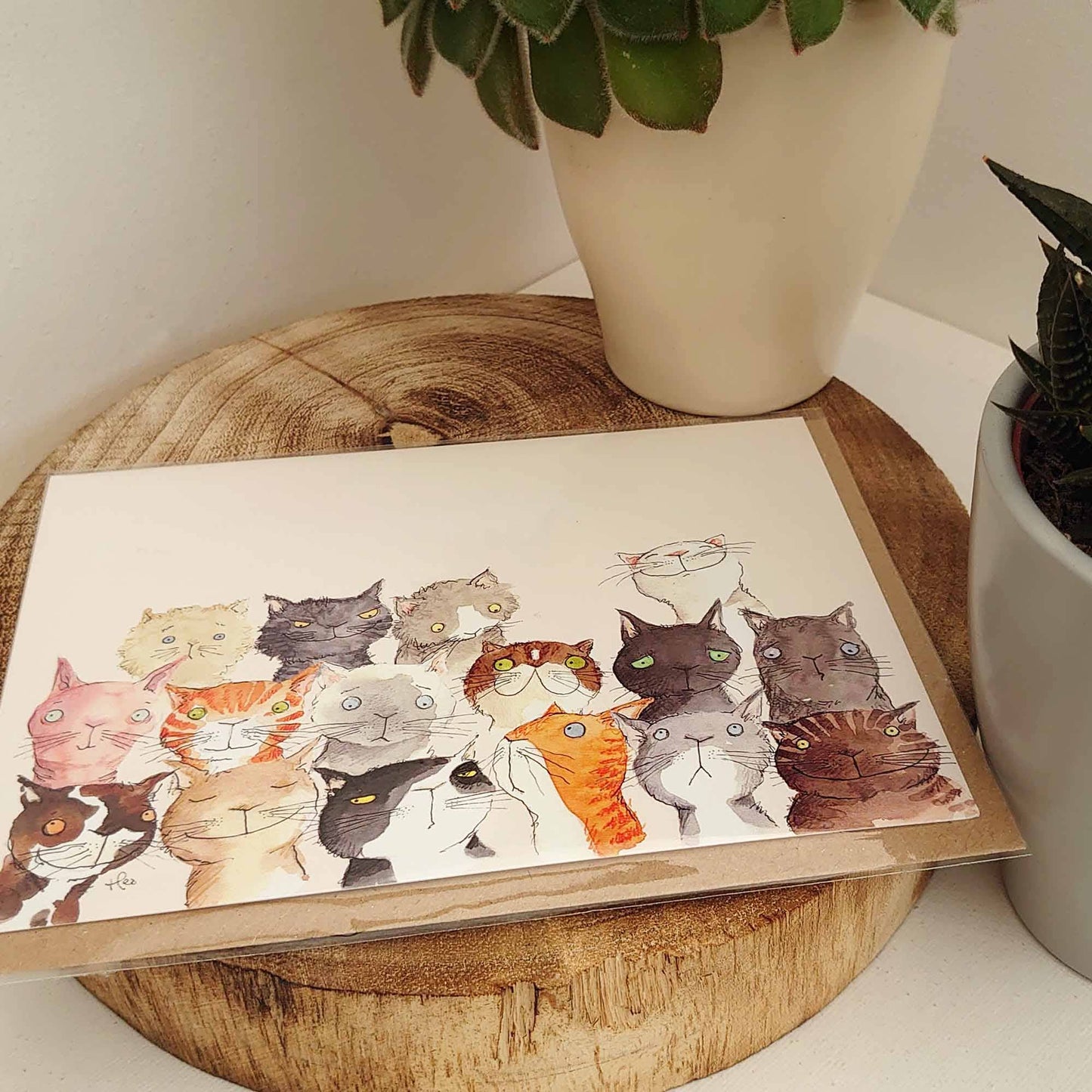 Cute Cat card, Funny Cat Birthday card, Crazy cat card