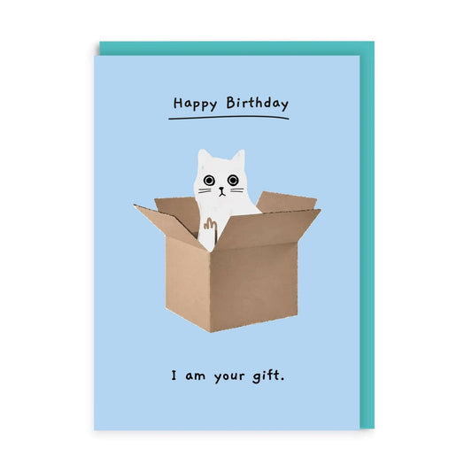 Cat In A Box Greeting Card