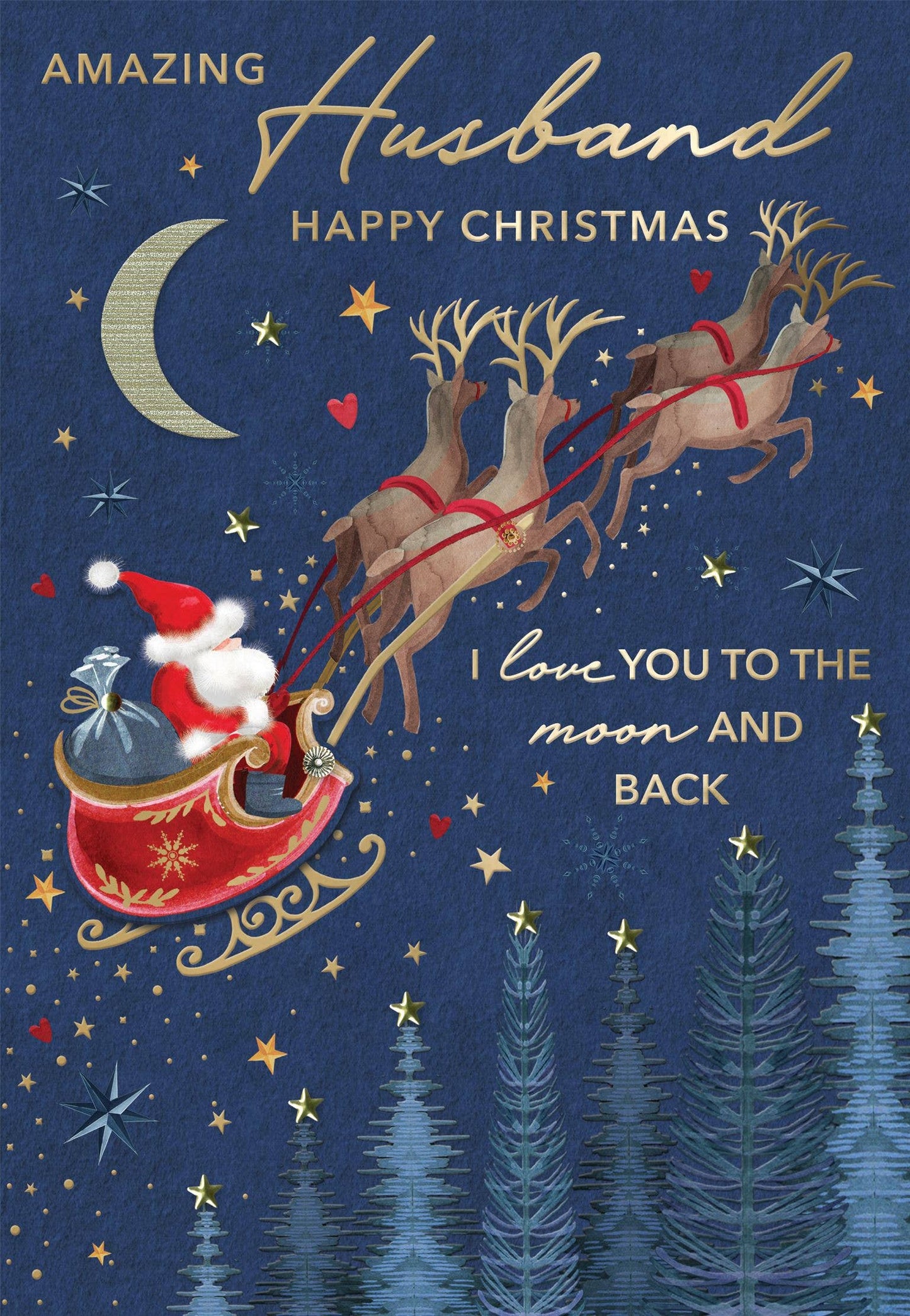 Husband-Santa Flying-Christmas Card-Magnifique-Second Nature