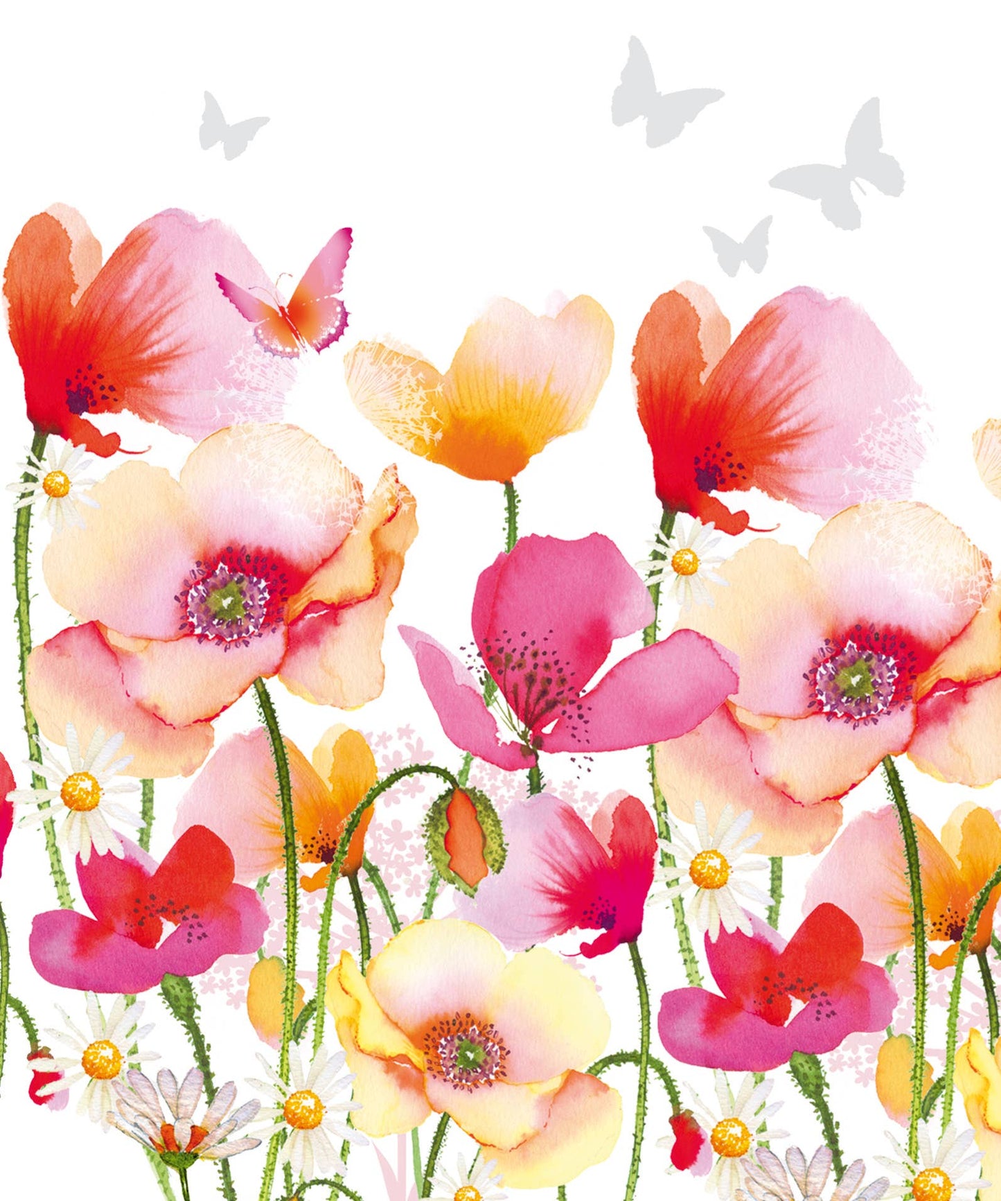 PIZAZZ GALLERY NPG13 POPPIES