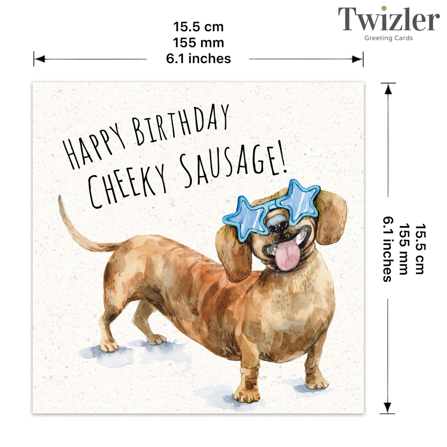Funny Birthday Card Cheeky Sausage Dog