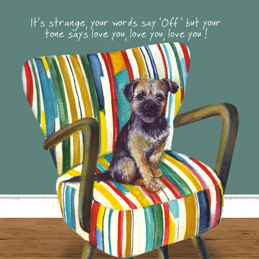 Cheeky Border Terrier  Greeting Card