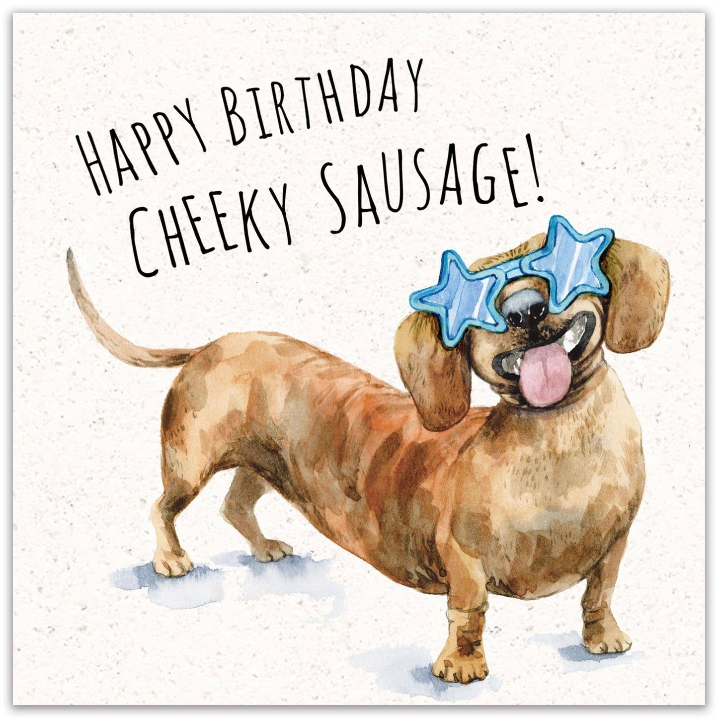 Funny Birthday Card Cheeky Sausage Dog