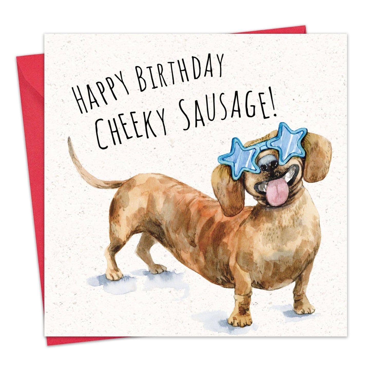 Funny Birthday Card Cheeky Sausage Dog