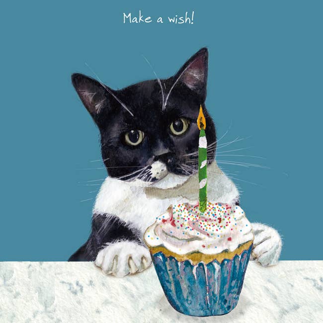Black and White Cat Birthday Card