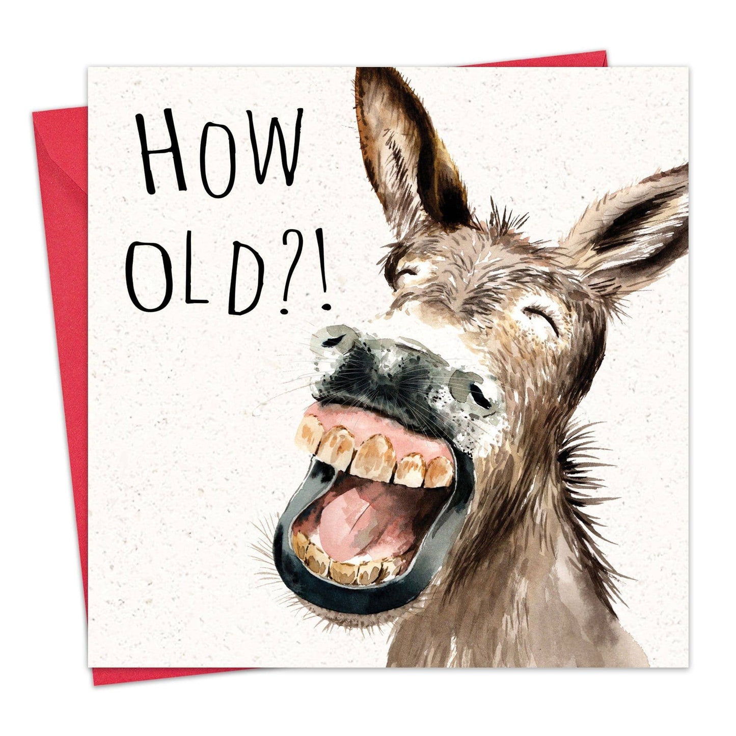 How Old Donkey - Funny Birthday Card