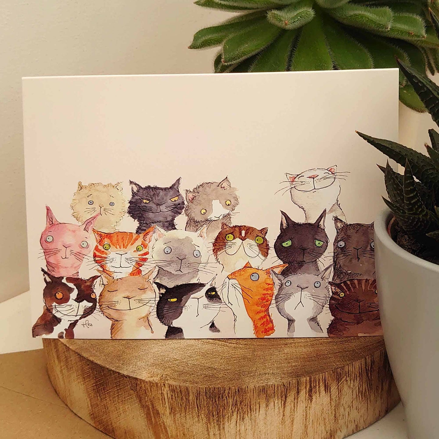 Cute Cat card, Funny Cat Birthday card, Crazy cat card