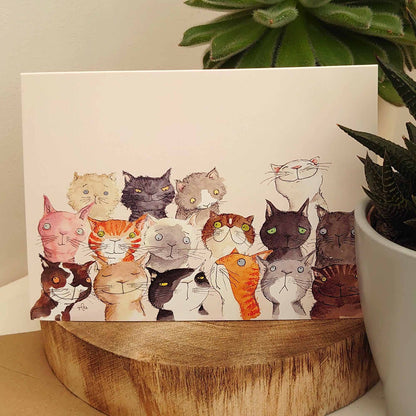 Cute Cat card, Funny Cat Birthday card, Crazy cat card